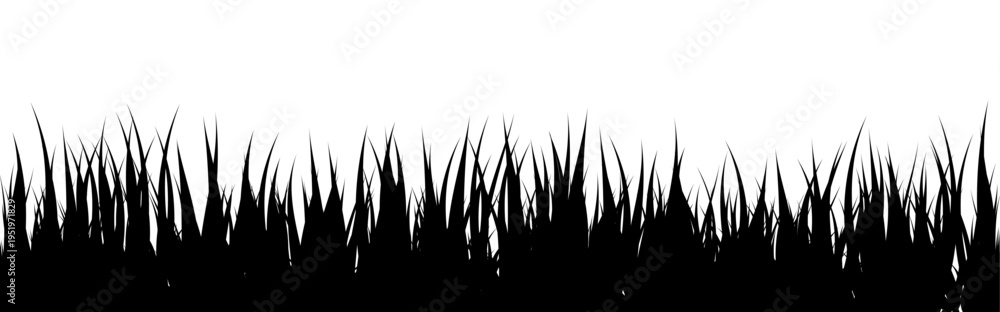 Obraz premium Meadow silhouette with grass, plants on plain. Panoramic summer lawn landscape with herbs, various weeds. Herbal border, frame element. Black horizontal banners. Vector illustration