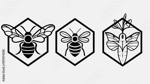 Three hexagon-framed insect outlines, bees and moth, line art against a white background