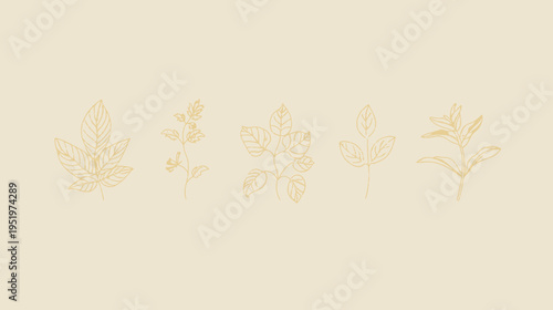 Pale tan background with five different sketched leaf designs in a lighter, sandy beige