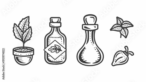 Whimsical botanical sketch showing a plant pot, two bottles, leaves, and a strawberry
