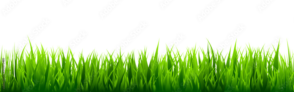 Fototapeta premium Meadow silhouette with green grass, plants on plain. Panoramic summer lawn landscape with herbs, various weeds. Herbal border, frame element. Black horizontal banners. Vector illustration