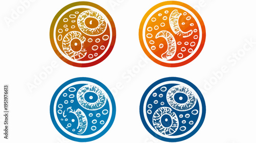 Four watercolor-style yin yang symbols, gradients of orange and blue tones