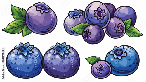 Watercolor-style illustration of blueberries with leaves, in various arrangements
