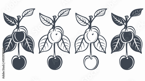 Four graphic cherry bunches with leaves, some dark, some outlined, on a white background