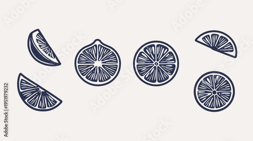 Stylized illustration of citrus fruit slices and whole citrus on a pale background