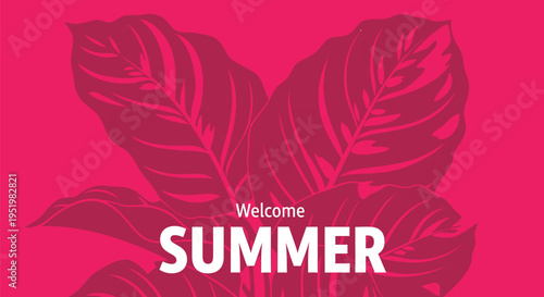 Summer welcome banner with tropical leaves vector