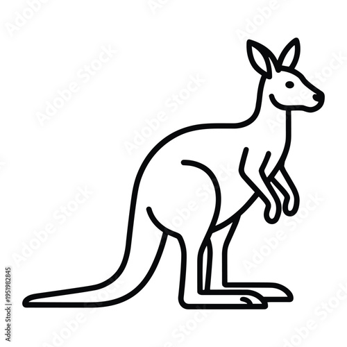 Kangaroo black and white vector outline illustration, standing marsupial icon