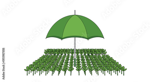 A large green umbrella provides shade over a field of small green plants arranged in neat rows.