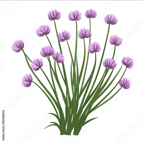 simple vector chives clipart illustration white background vector art style simple design flat illustration no shadows