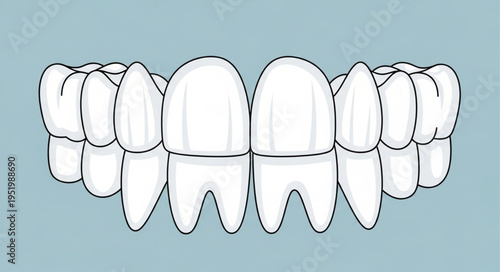 Illustration of a set of teeth with detailed enamel.