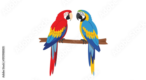 A red macaw and a blue and yellow macaw are perched on a brown branch against a plain white background.