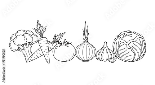 Vegetable line drawing illustration.