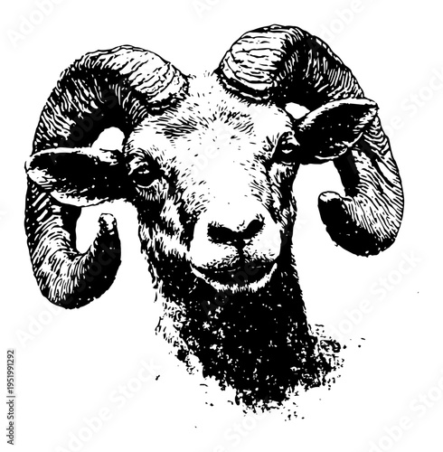 Ram Head Vintage Engraving Illustration, Majestic Sheep with Horns Stipple Art Vector