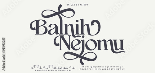 Balnih Nejomu Premium luxury elegant alphabet letters and numbers. Elegant wedding typography classic serif font decorative vintage retro. Creative vector illustration