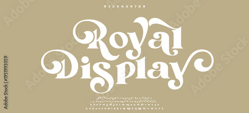 Royal Display elegant Font Uppercase Lowercase and Number. Classic Lettering Minimal Fashion Designs. Typography modern serif fonts regular decorative vintage concept. vector illustration