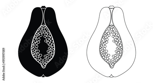 Papaya fruit cut in half showcasing seeds in a bold silhouette