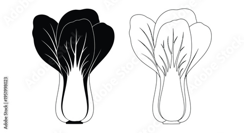 Two depictions of bok choy one dark and one light silhouette