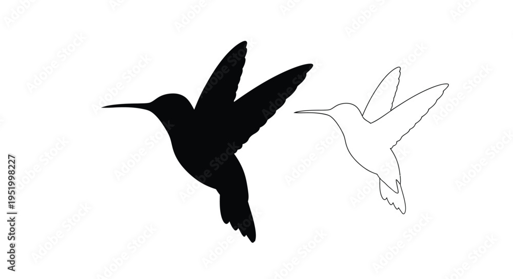 Obraz premium Two hummingbirds depicted in contrasting styles including a bold silhouette