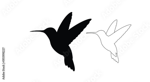 Two hummingbirds depicted in contrasting styles including a bold silhouette