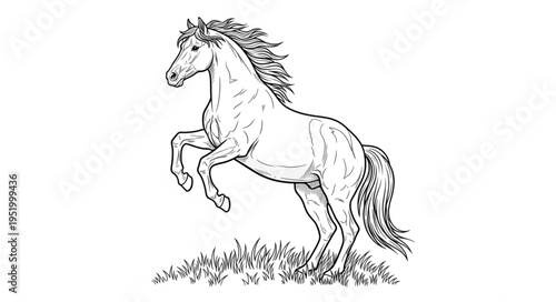 Majestic Horse Rearing Up - A Detailed Line Art Illustration.