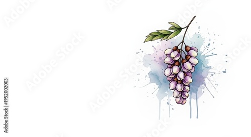 Watercolor grape bunch with green leaves and splashes of color  