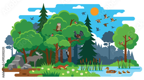 Forest ecosystem illustration with various wild animals and birds flying