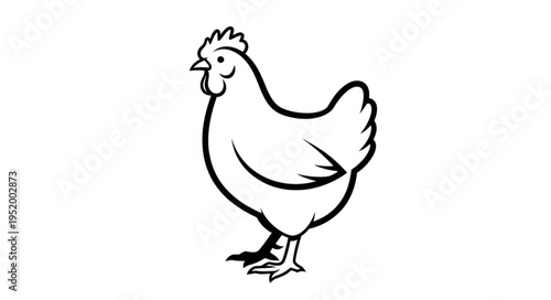 Detailed line drawing of a standing chicken.