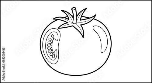 Fresh Tomato Outline Illustration