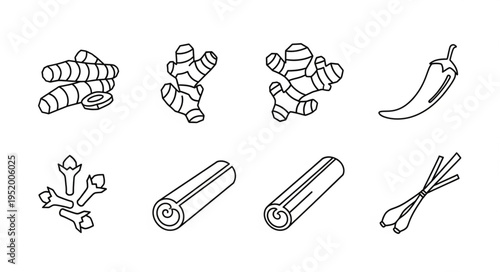 Hand-drawn spices - turmeric, ginger, chili, cloves, cinnamon, lemongrass.