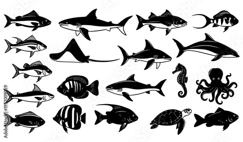 Fish and sea animal silhouette collection vector marine wildlife set