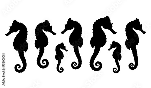 Black seahorse silhouette collection vector marine life icon set