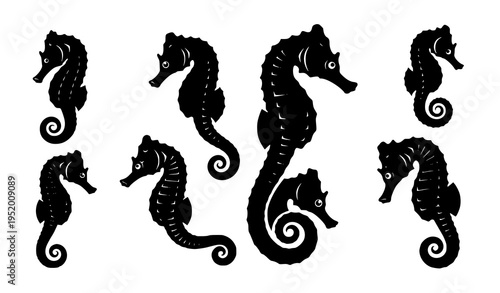Sea horse silhouette vector pack with black marine animal shapes