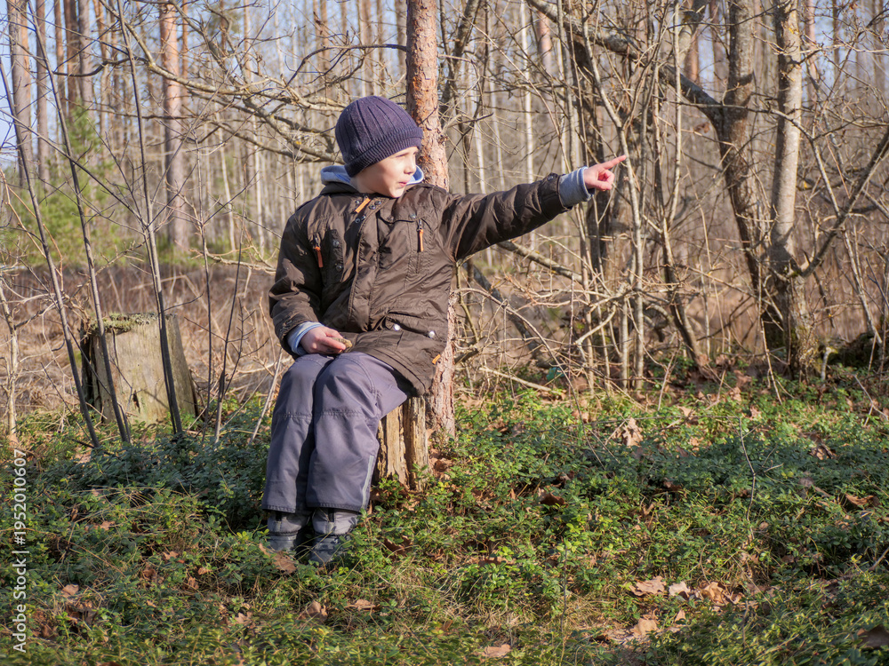 Fototapeta premium Boy Sitting on Tree Stump Pointing in Spring Forest — Child Discovering Nature, Childhood Wonder, Forest Exploration, Nature Education