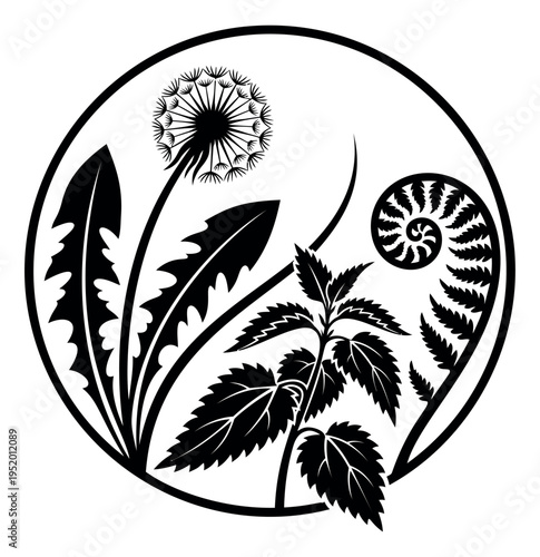 Black and white graphic wild plants set featuring dandelion, stinging nettle, and a fern frond for botanical illustrations