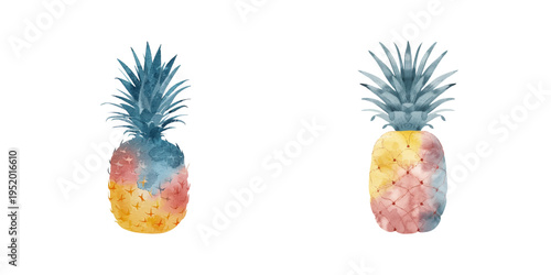  abstract color silhouette of pineapple watercolor vector illustration