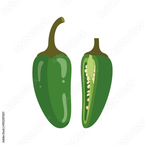 A vibrant illustration of a whole jalapeño pepper next to a halved jalapeño pepper, revealing its seeds and inner structure.