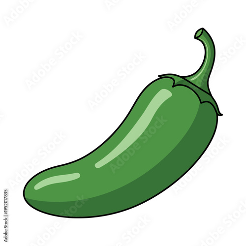 A vibrant green jalapeño pepper, a popular chili pepper known for its moderate heat and versatility in culinary applications.