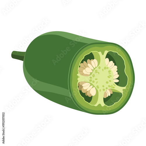A cross-section of a fresh, vibrant green jalapeño pepper showing its seeds and inner structure.