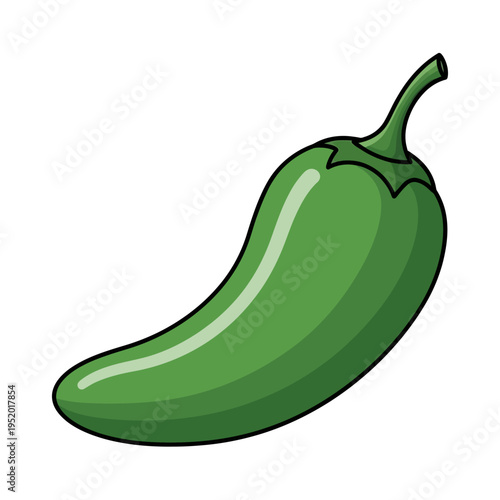 A vibrant green jalapeño pepper, a popular chili pepper known for its moderate heat and versatility in culinary applications.