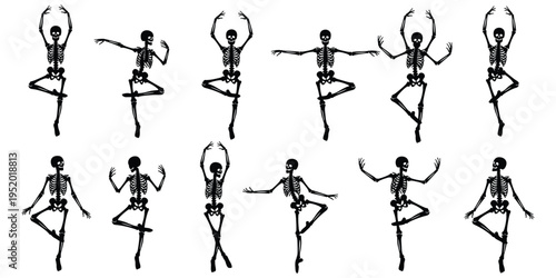 Skeleton ballet dance illustration, humorous artwork with stylized skeletons expressive poses classical movement artistic anatomy vector design