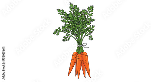 A neatly tied bunch of five vibrant orange carrots with lush green leafy tops is depicted on a white background.
