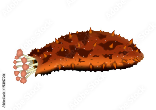 ナマコ　(食用ナマコ)　リアルなイラスト　ベクター形式