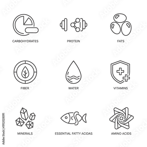 Nutritional Icons Carbohydrates, Protein, Fats, Fiber, Water, Vitamins, Minerals, Fatty Acids, and Amino Acids