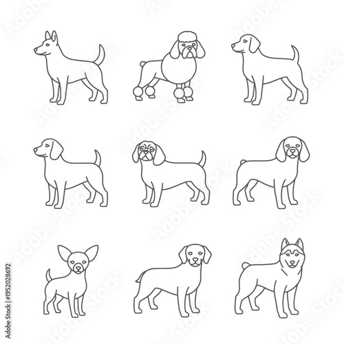 Collection of Nine Different Dog Breeds Outline Illustrations.