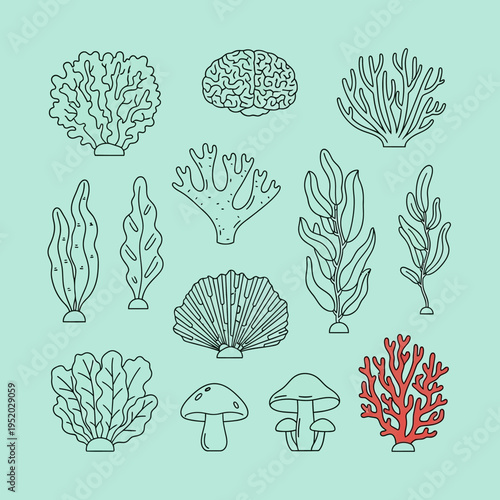 Set of hand-drawn underwater plants, corals, and mushrooms on a light blue background