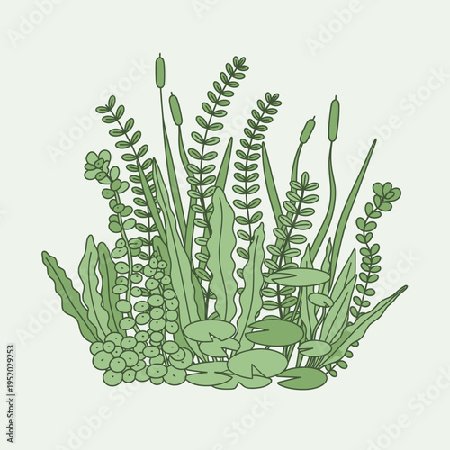 Illustration of lush green aquatic plants and water lilies in a pond, natural ecosystem