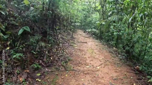 Time lapse caminhando na trilha na cidade de Araponga, região da Serra do Papagaio, Estado de Minas Gerais, Brasil