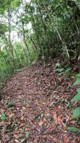 Time lapse caminhando na trilha na cidade de Araponga, região da Serra do Papagaio, Estado de Minas Gerais, Brasil