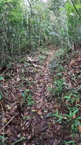 Time lapse caminhando na trilha na cidade de Araponga, região da Serra do Papagaio, Estado de Minas Gerais, Brasil