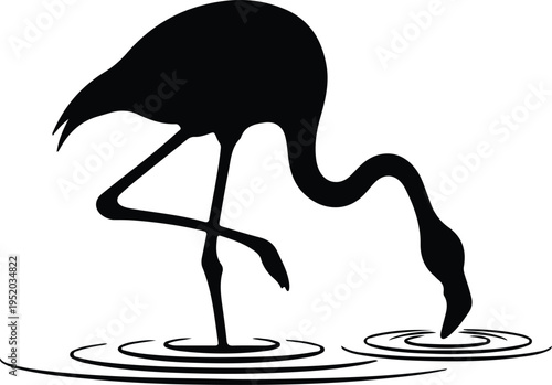 Silhouette elegant tropical flamingo bird wading in water ripples vector design
